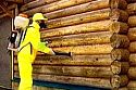 Эффективные способы защиты деревянного дома от плесени